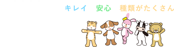 イベント用着ぐるみ エアー着ぐるみのレンタルと製作 フォーカス